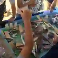 broken image