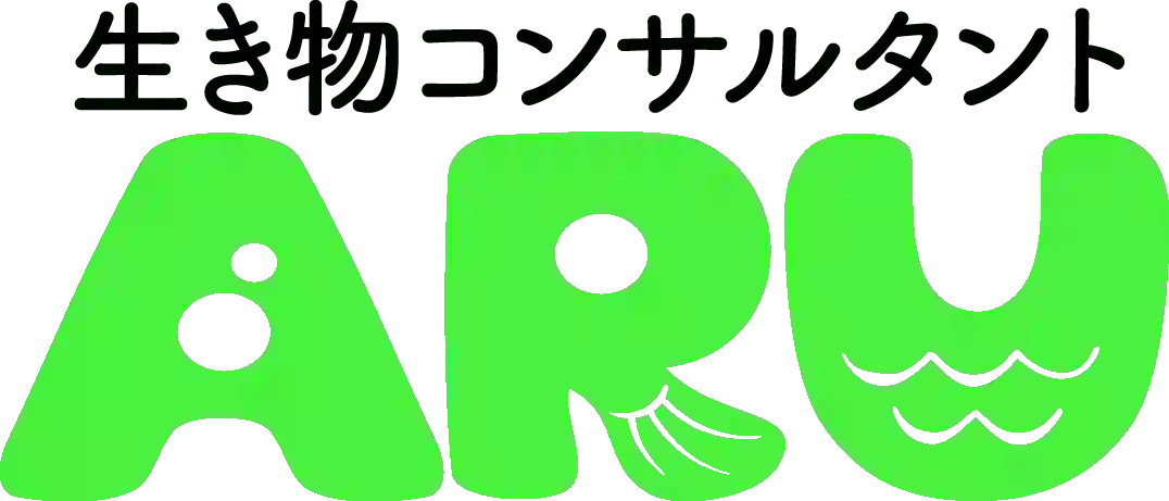 broken image